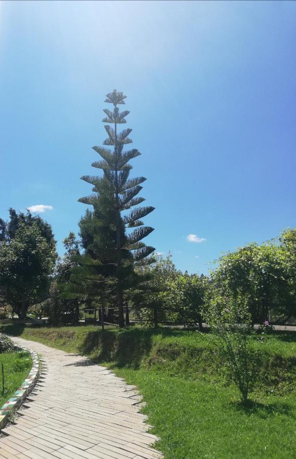 Posada Torre Del Milano Comillas Dış mekan fotoğraf